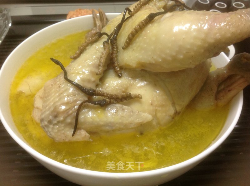 Stewed Old Hen with Cordyceps recipe