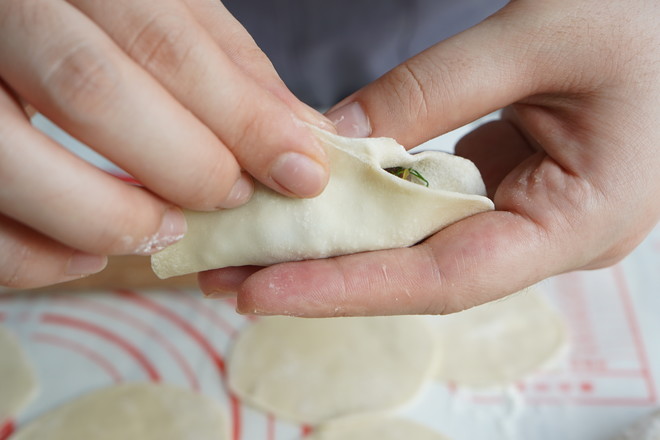 Lamb and Fennel Dumplings recipe