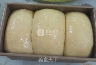 Whole Wheat Toast recipe