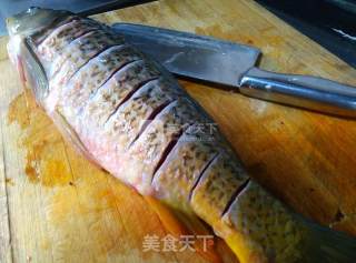 #aca烤培明星大赛#hot Pot Grilled Fish recipe