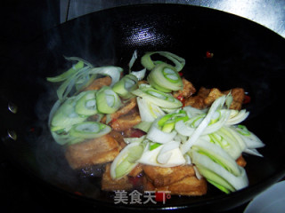 Warm Away The Cold---spicy Scallion Braised Tofu recipe