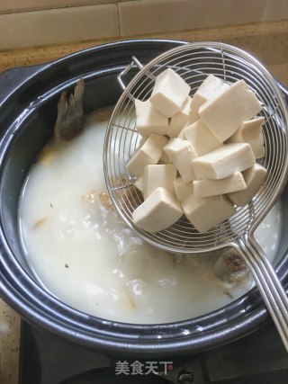Tongcao Crucian Carp Tofu Soup recipe