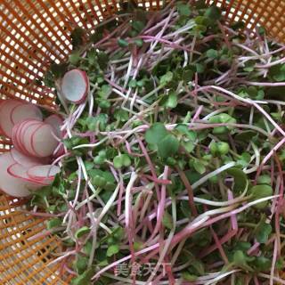 Sweet and Sour Radish Sprouts recipe