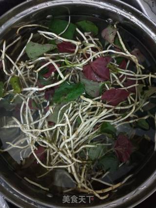 Cold Root recipe