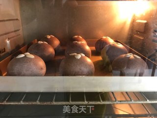 Coco Mochi and Honey Bean Buns recipe