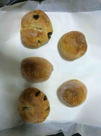 Yogurt Whole Wheat Bread Rolls recipe