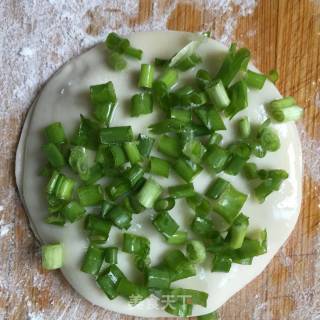 Lazy Version Cumin Scallion Omelette recipe