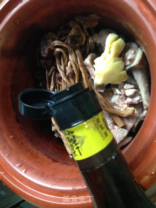 【stewed Pigeon with Tea Tree Mushroom】 recipe