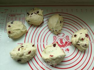 Cranberry Cheese Soft European recipe