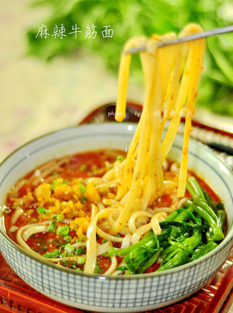 Spicy Beef Tendon Noodles