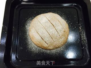 100% Whole Wheat Bread recipe