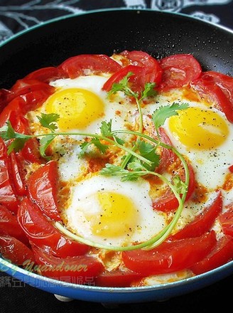 Tomato Poached Egg