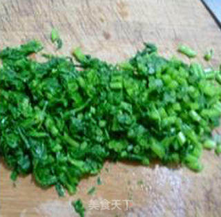 Chrysanthemum Mixed Protein recipe