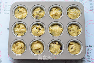 Dried Fruit Oat Muffin recipe