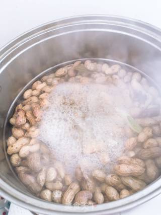 Boiled Peanuts recipe