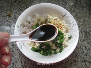 Shrimp and Tofu Dumplings recipe