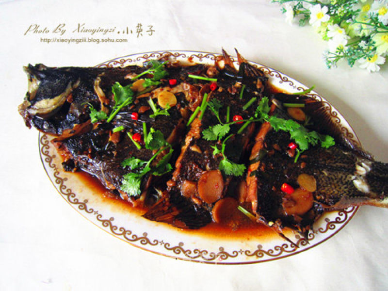 Braised Opium Fish in Sauce recipe