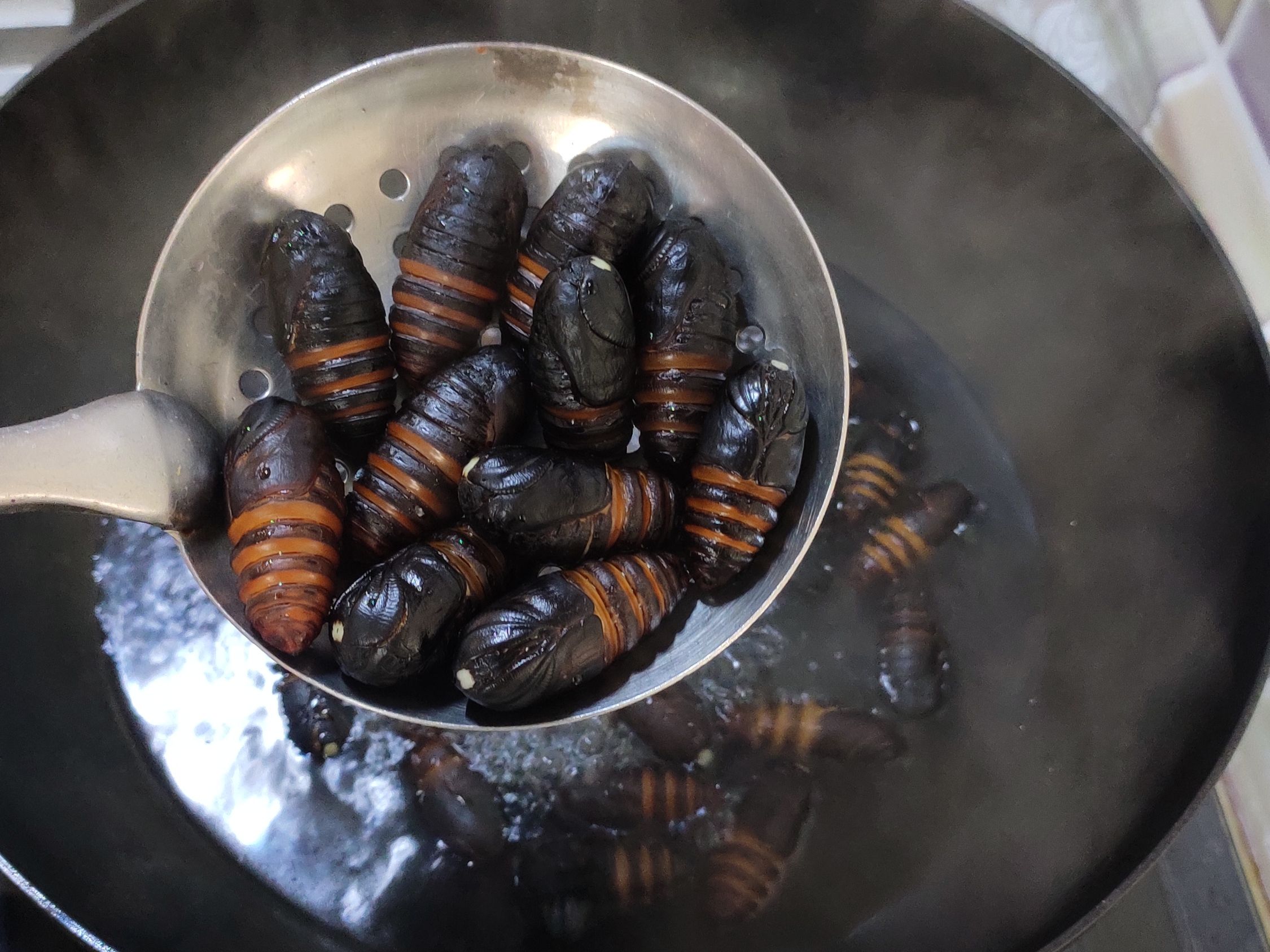 Dry Cocoon Pupae that Can be Eaten Even with The Skin recipe