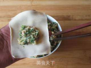 Vegetable Meat Wonton recipe