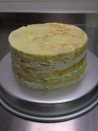 Assorted Fruit Melaleuca Cake recipe