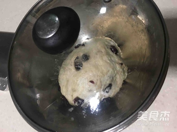 No-knead Whole Wheat Cranberry Soft European Bun recipe