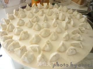 Pork Fennel Dumplings recipe