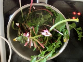 The Taste of Wild Mountains-dandelion Mixed with Bracken recipe