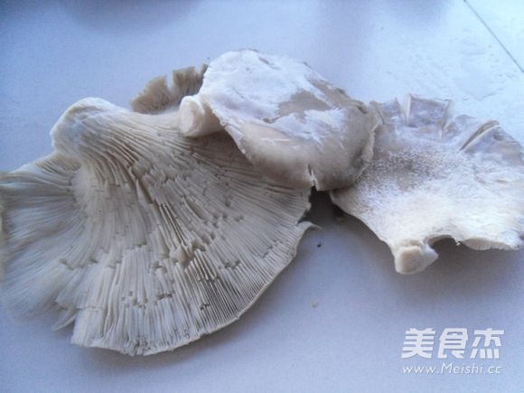 Pleurotus Ostreatus recipe