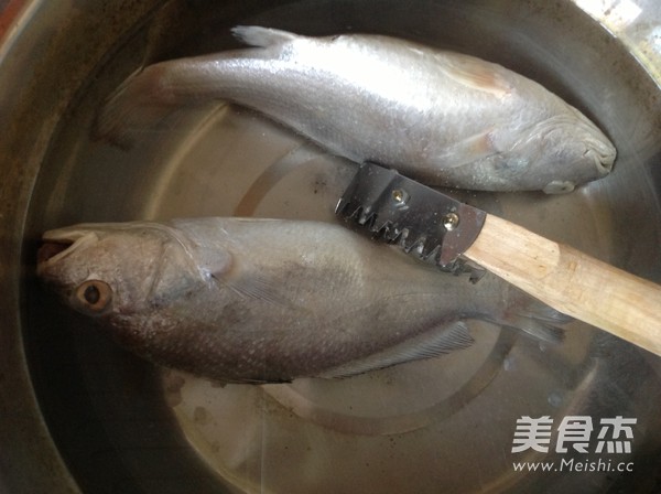 ——stewed Yellow Croaker with Fermented Bean Curd recipe