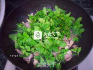 Stir-fried Pork with Mint recipe