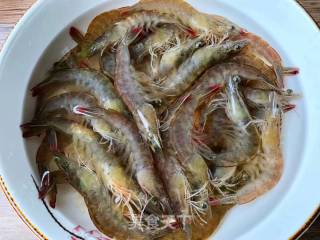 Brine Shrimp recipe