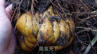 Lily Sydney White Fungus Soup recipe