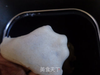 Rye Honey Bean Meal Buns recipe