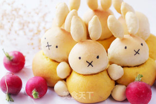 Sit in Rows and Divide The Radish [miffy Rabbit Squeezes The Buns] recipe