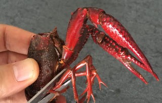 Spicy Crayfish recipe