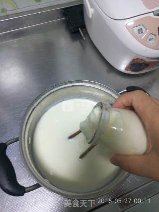 Homemade Old Yogurt (bread Machine Version) recipe