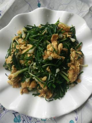 Scrambled Eggs with Wild Onions recipe