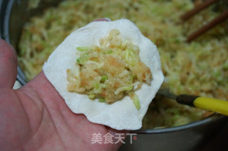 Fried Dumplings with Zucchini Steak and Fork recipe