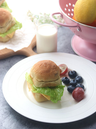 Cheese Tuna Avocado Mini Square Burger