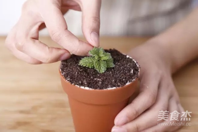 Potted Cake recipe