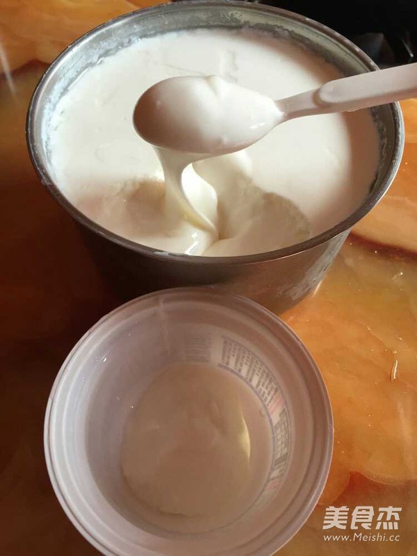 Homemade Yogurt recipe