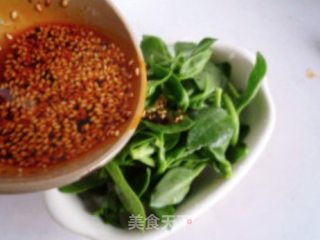 Andrographis recipe