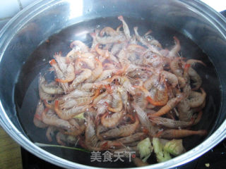 Brine Shrimp recipe