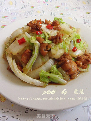 [home Cooking] Spicy Stir-fried Cabbage Chicken recipe