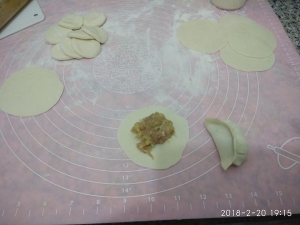 Pork and Cabbage Dumplings recipe