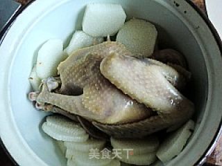 【anhui Cuisine】---huangshan Stewed Pigeon recipe