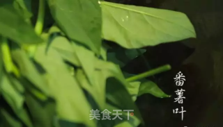 Chaoyin Hipster: Stir-fried Sweet Potato Leaves with Soy Sauce recipe