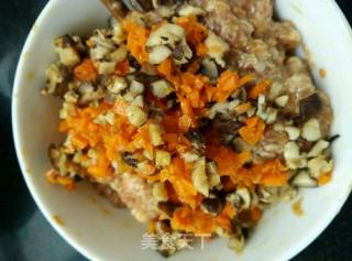 Pork and Mushroom Pot Stickers recipe