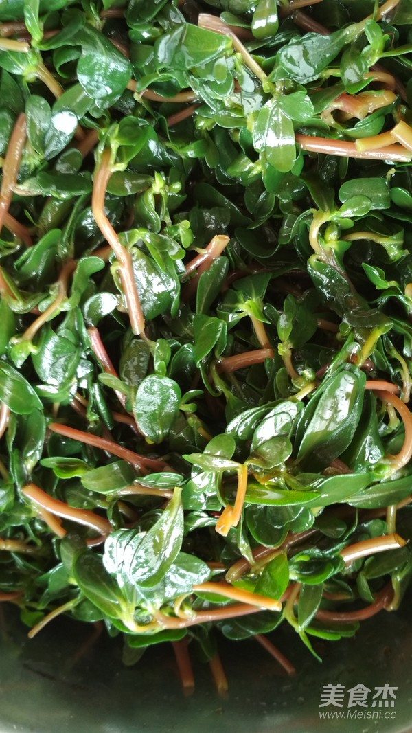 Garlic Purslane recipe