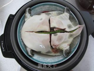 Steamed Turtle with Dates and Longan-----soothe The Nerves, Nourish The Heart and Nourish The Spleen recipe